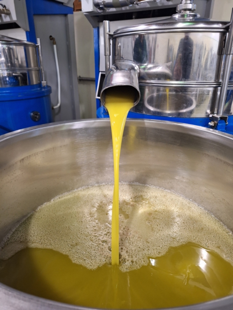 Olio grignano poeta della sengia sbusa